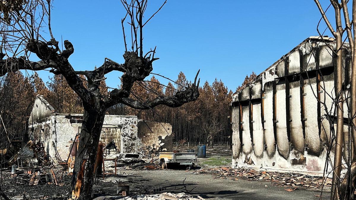 MEGAINCENDIOS FRANCIA | La difícil vuelta a la normalidad en la Gironda tras un verano de megaincendios: «Tememos que este tipo de incidentes pueda repetirse»