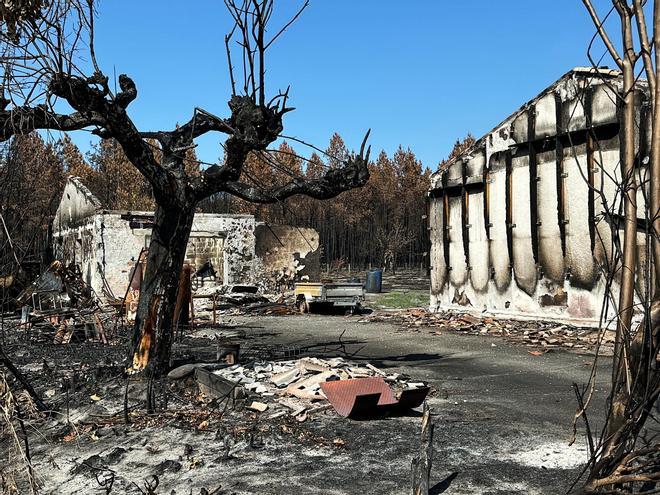 La difícil vuelta a la normalidad en Gironda tras un verano de megaincendios: "Es una pena. Mucha gente lo ha perdido todo"