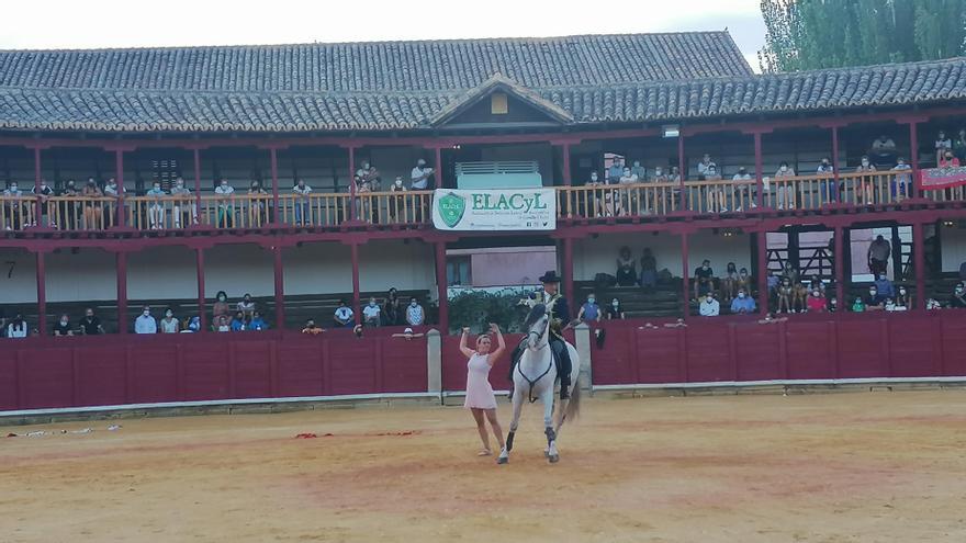 Un número de danza con caballos en el espectáculo ofrecido hace dos años en Toro