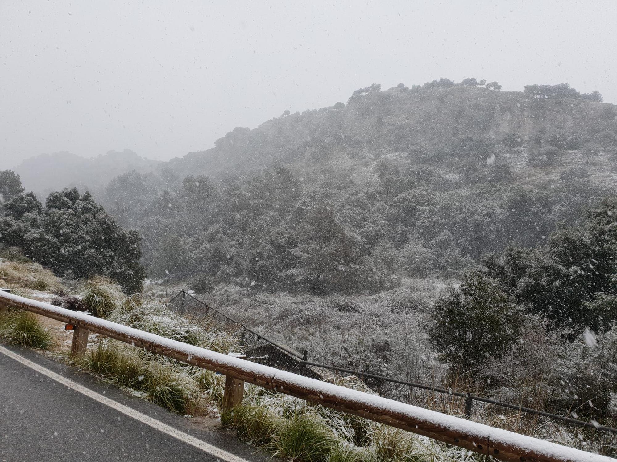 La nieve cae en la Serra