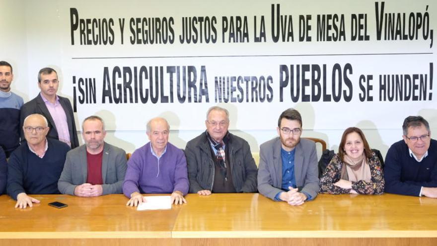 La mesa de crisis de la uva de mesa que se ha constituido esta mañana en Monforte del Cid