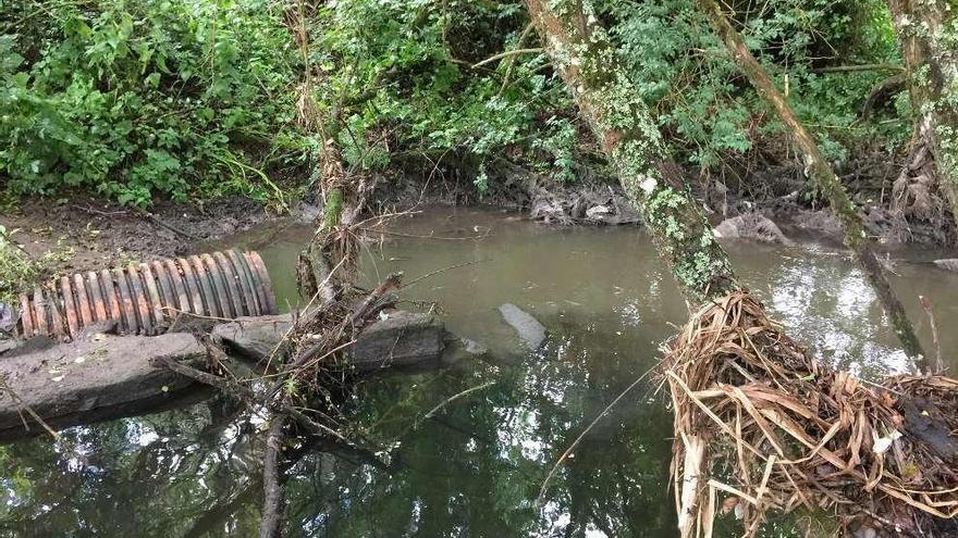 Las aguas de la estación depuradora son vertidas al río en las cercanías del lago situado al final del Paseo do Pontiñas.