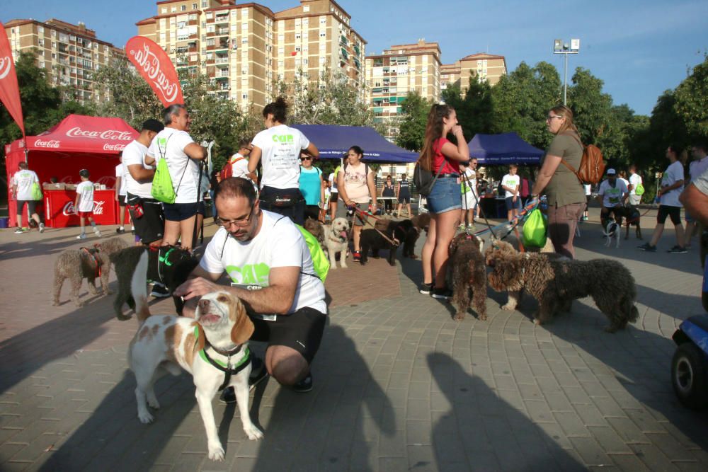 El Parque Huelin ha acogido la primera edición de un evento destinado a las mascotas y a sus dueños, con carreras en diversas categorías, actividades gratuitas y numerosos stands