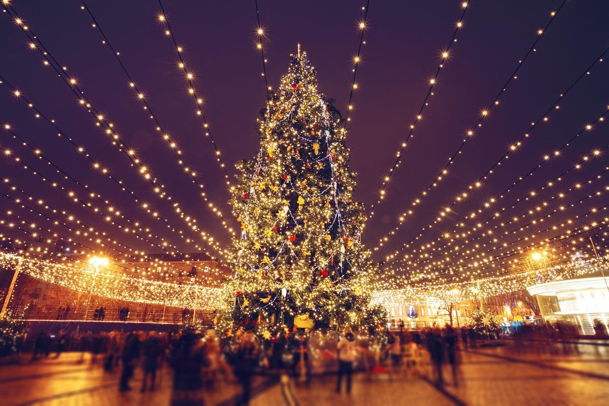 Árbol de navidad lleno de luces