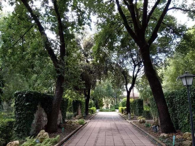 Hacemos reclama un plan de rescate para el Jardín Botánico de Córdoba