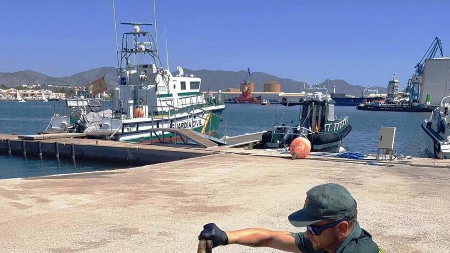 Intervenidos en Castelló 222 kilos de pulpo pescados irregularmente