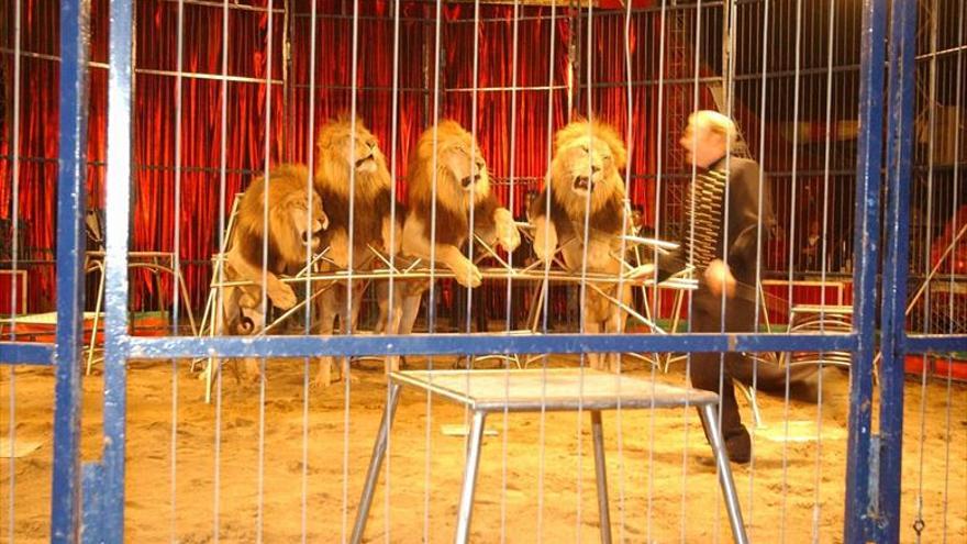 Los circos en Extremadura no podrán tener animales salvajes aunque no los exhiban