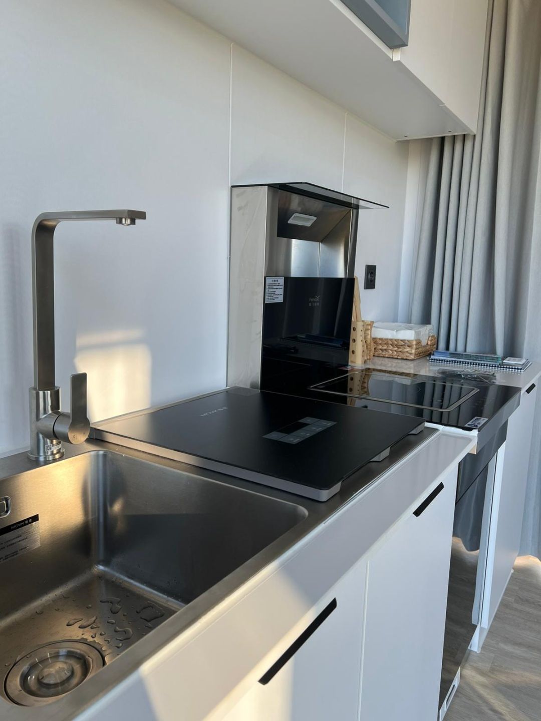 La presentación de las casas cápsula, en O Grove.