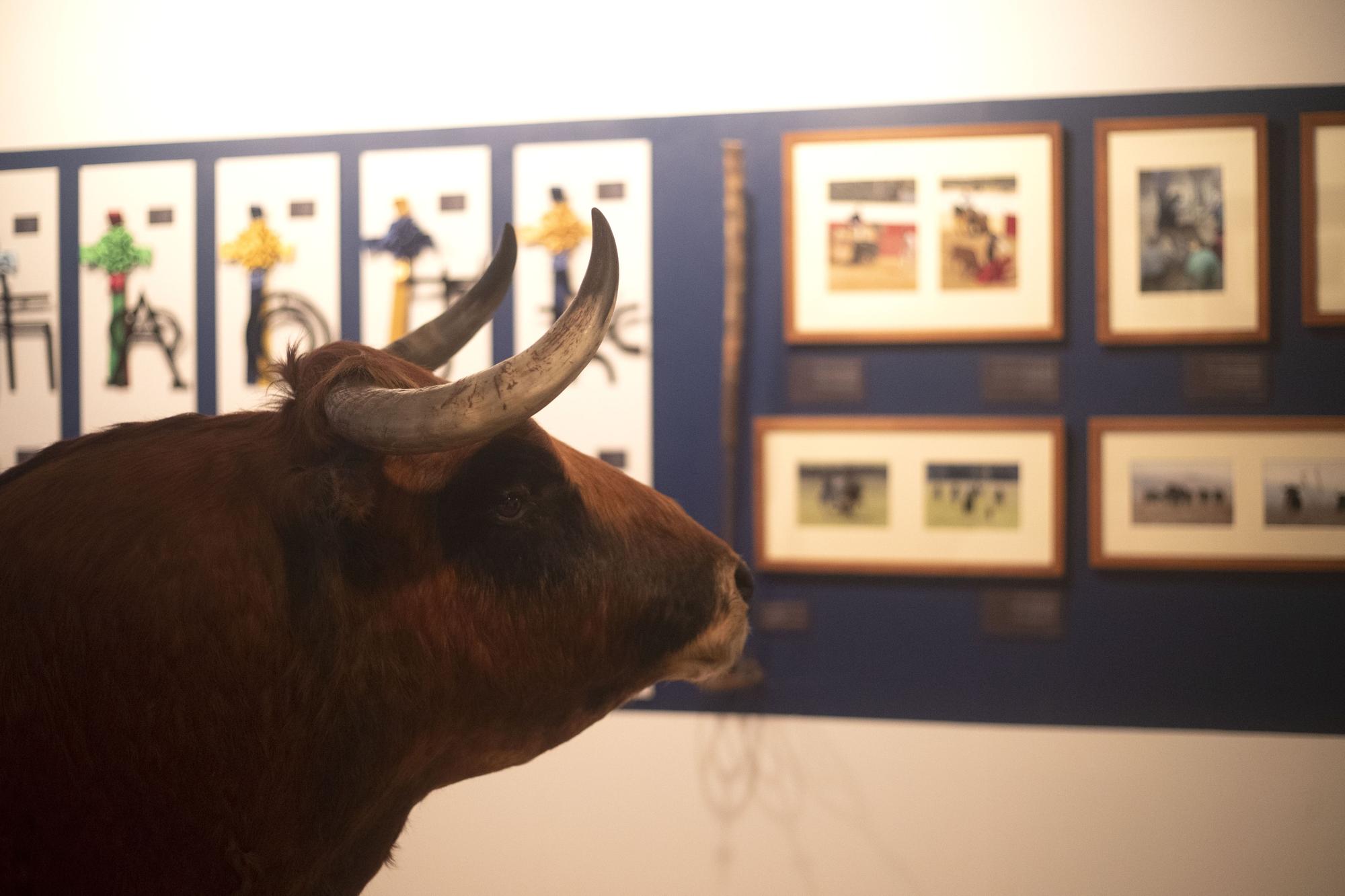 Un paseo por las entrañas del Museo Taurino de València