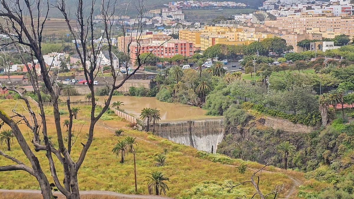 Reboso de la presa de Tamaraceite