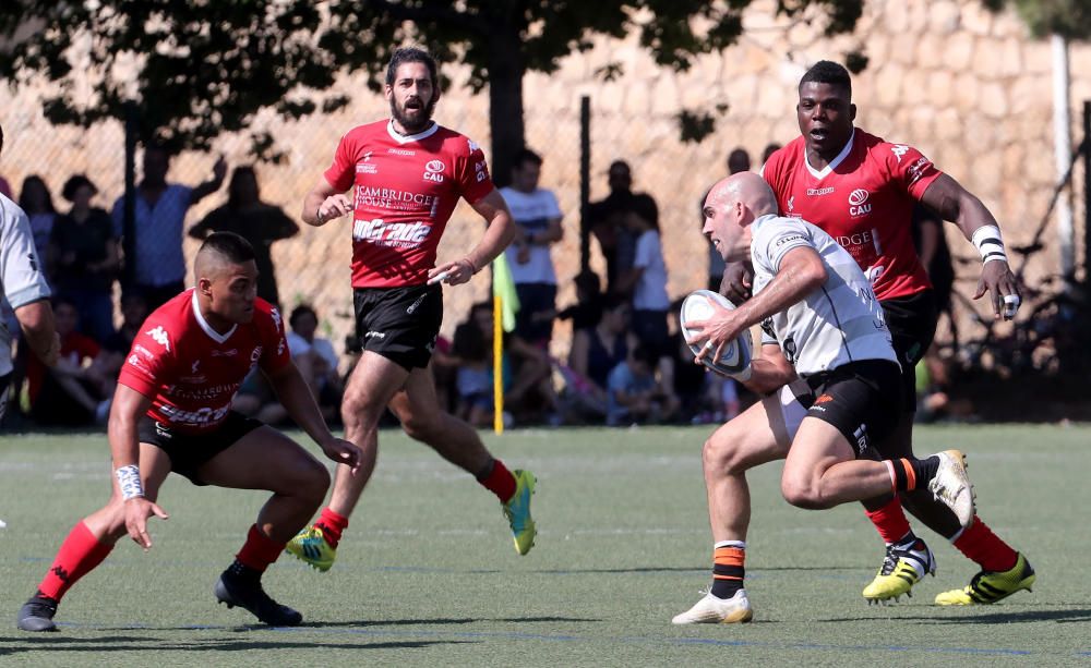 CAU Valencia VS Les Abelles: Las mejores fotos