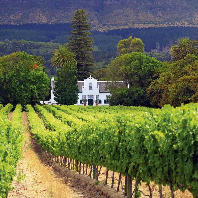 Cape Dutch Manor House and Vineyard, South Africa