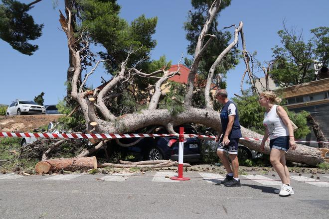 Imágenes del día después en Alcoy tras el temporal
