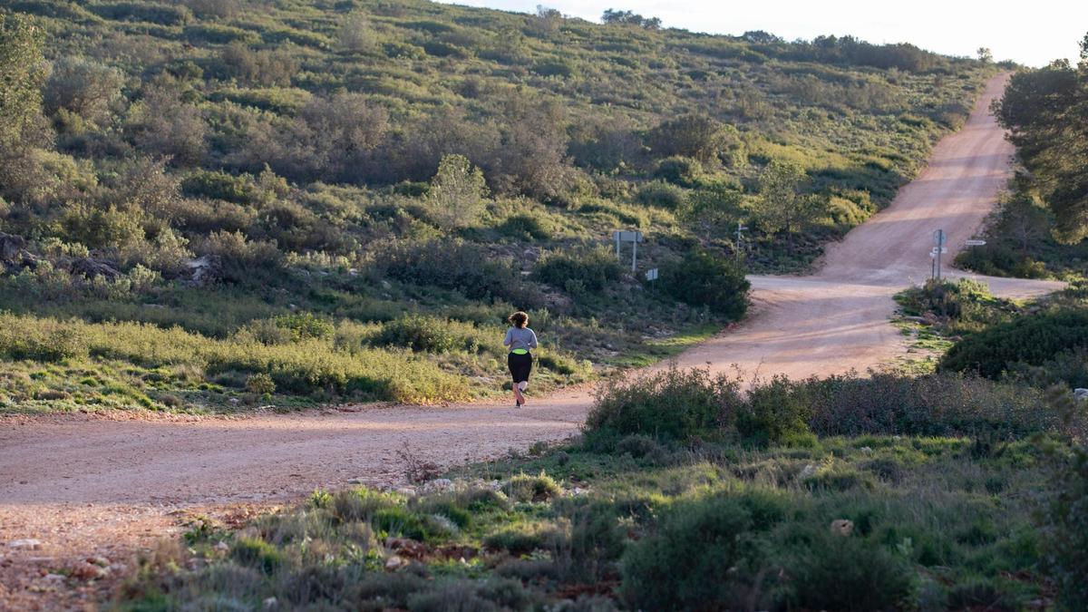 Zona de la sierra de la Plana de Enguera afectada por uno de los parques eólicos en tramitación.
