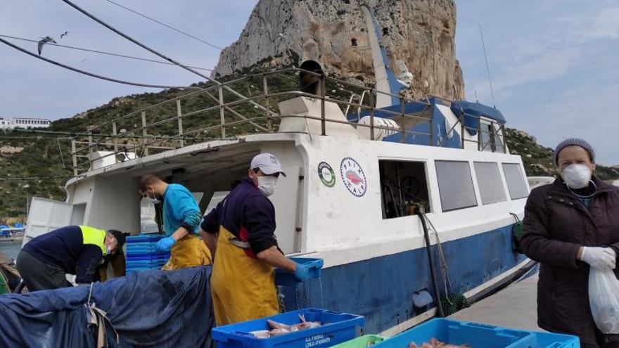 Los pescadores de Calp descargan el marisco en el puerto. | LEVANTE-EMV