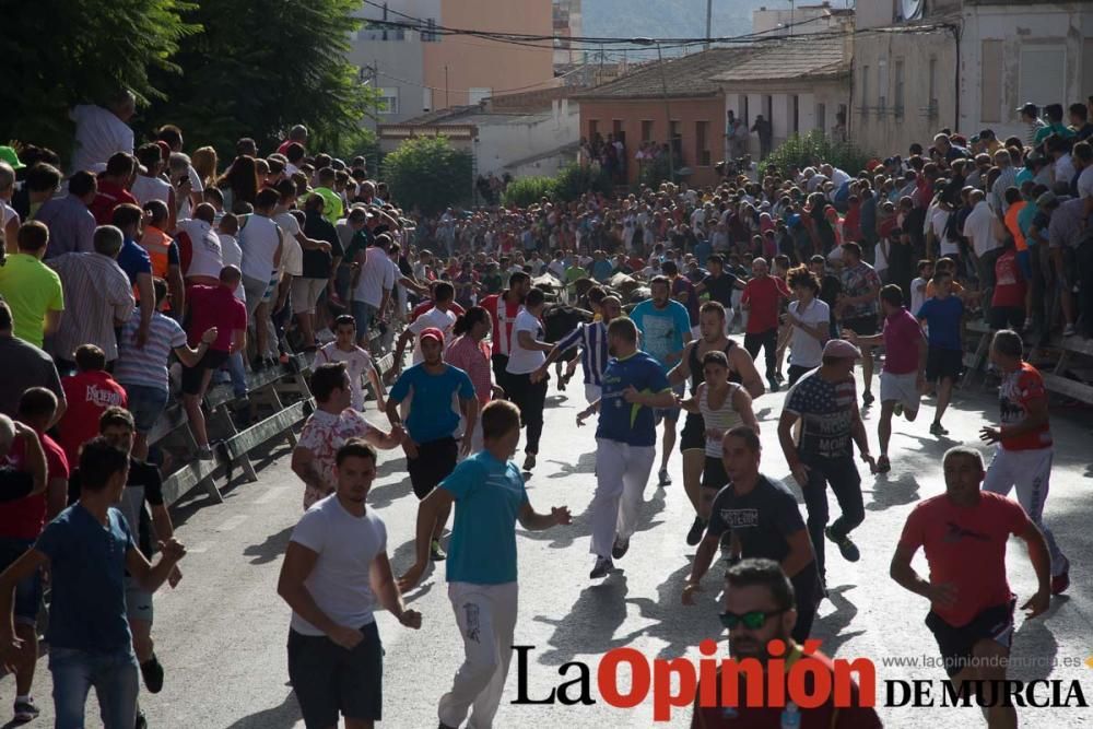 Segundo encierro de Calasparra