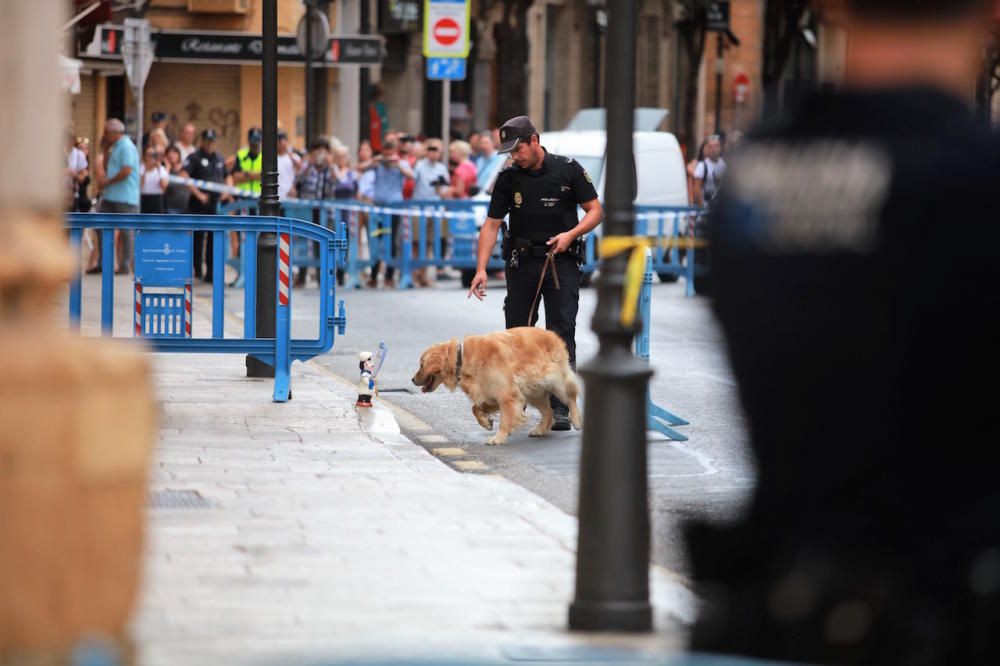 Falsa alarma en el Consell de Mallorca por la aparición de un bulto sospechoso