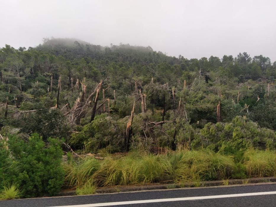 Tormenta, granizo y un 'cap de fibló' en Mallorca