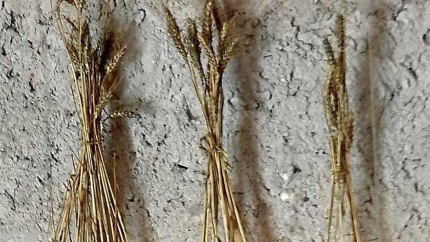 &quot;Papeix&quot; combina el blat efímer i la resistent ceràmica