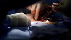 tecnicomadrid46064636 a medical team performs an inguinal hernia surgery in an ope