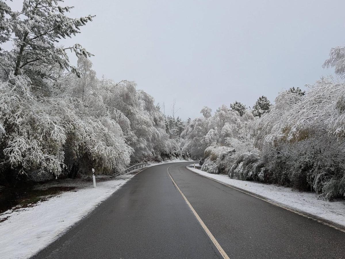 Protecció Civil activa el pla Neucat i demana a la ciutadania avançar la tornada a casa davant la previsió de nevades