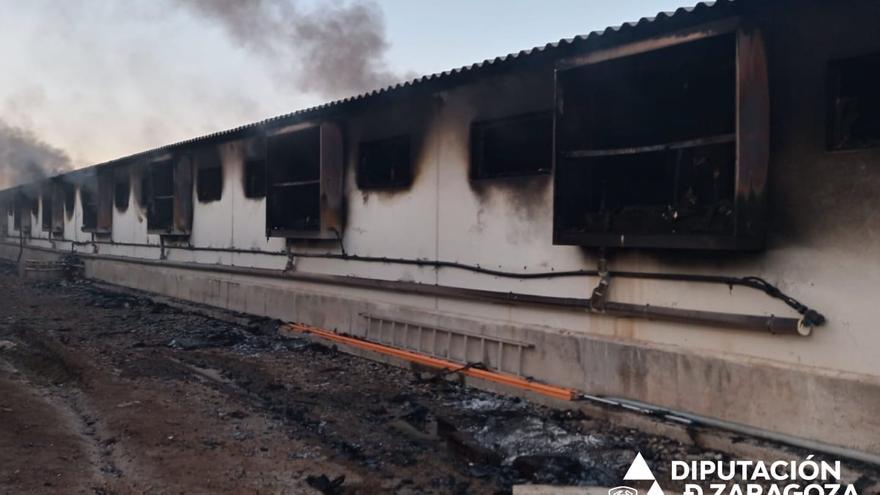 Decenas de cerdos mueren en el incendio de una granja en Pozuelo de Aragón (Zaragoza)