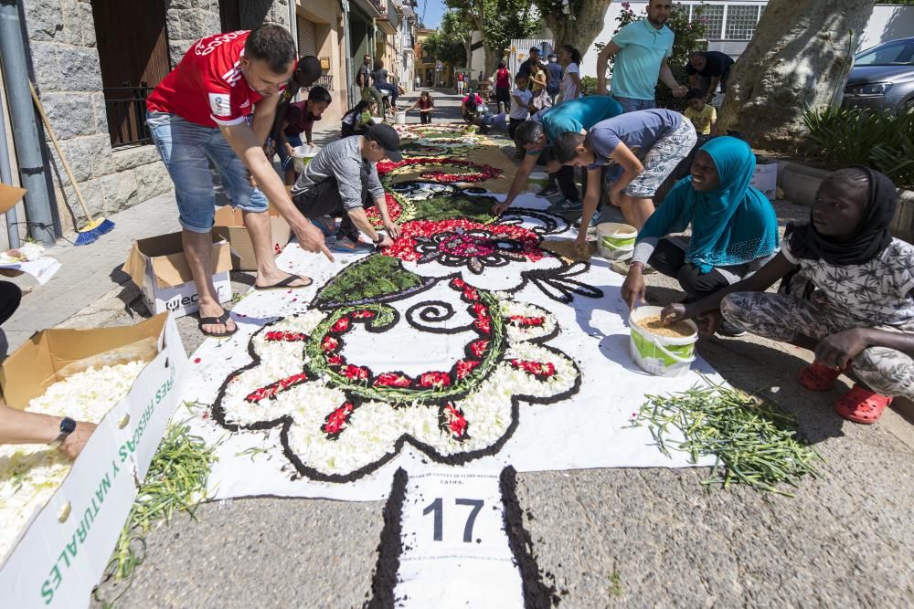 El concurs de catifes de flors naturals omple Arbúcies