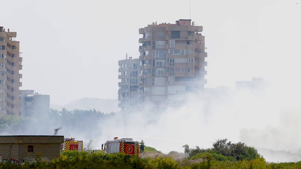 Incendio forestal en La Dehesa de El Saler