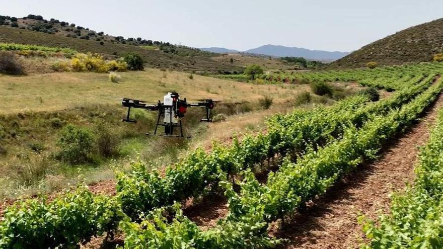 Los drones ‘vendimiadores’ llegan a Cariñena con el centro tecnológico de Paniza