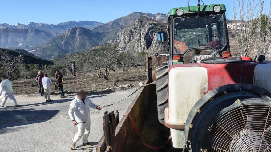 Los apicultores frenan la fumigación contra la plaga de la Xylella en Tárbena