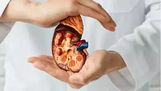 Enfermedad renal diabética: síntomas para descubrirla y fórmulas para detener su progresión
