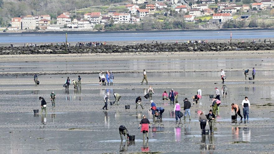 Mariscadoras faenan en Lourizán.