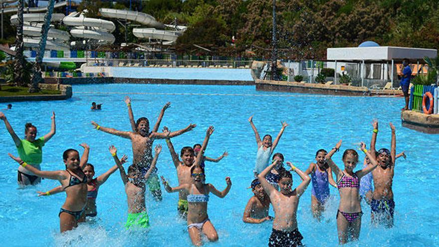 Abiertas las inscripciones para la Escuela de Verano de Terra Natura Benidorm