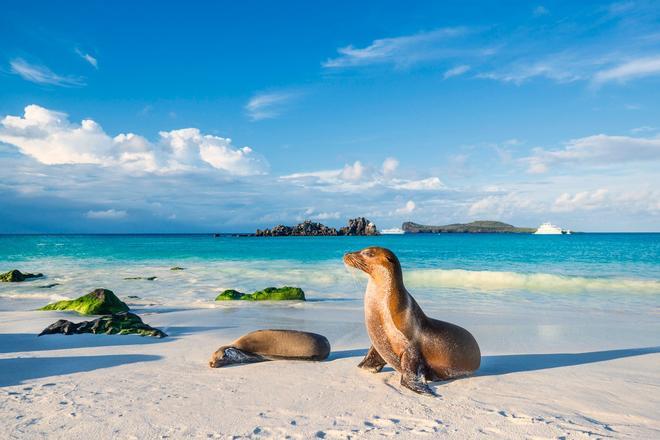 Islas Galápagos, Ecuador