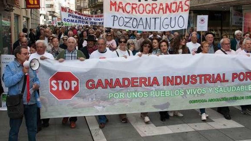 Manifestación en Zamora contra las macrogranjas de porcino.