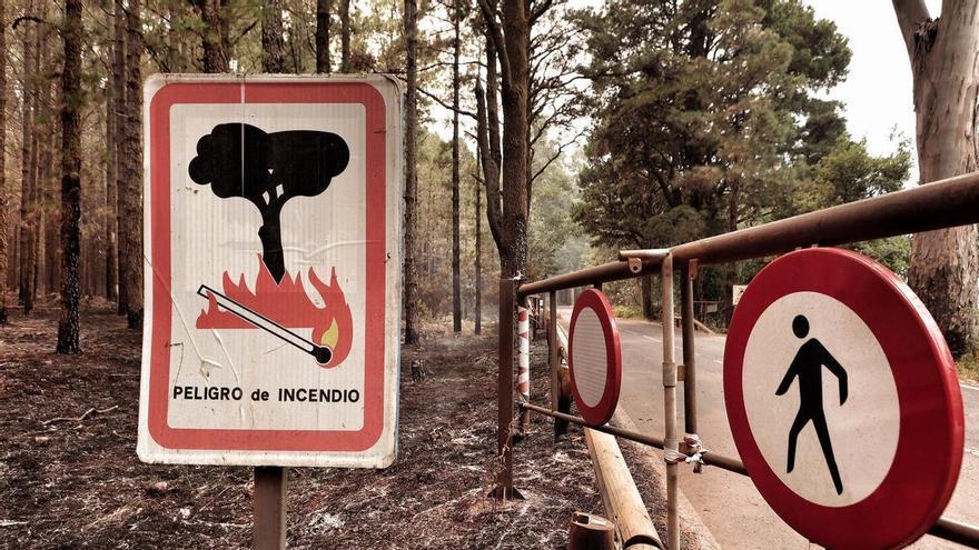 Warning of Wildfire Risks in Tenerife Due to Incoming Heatwave Warning of Wildfire Risks in Tenerife Due to Incoming Heatwave