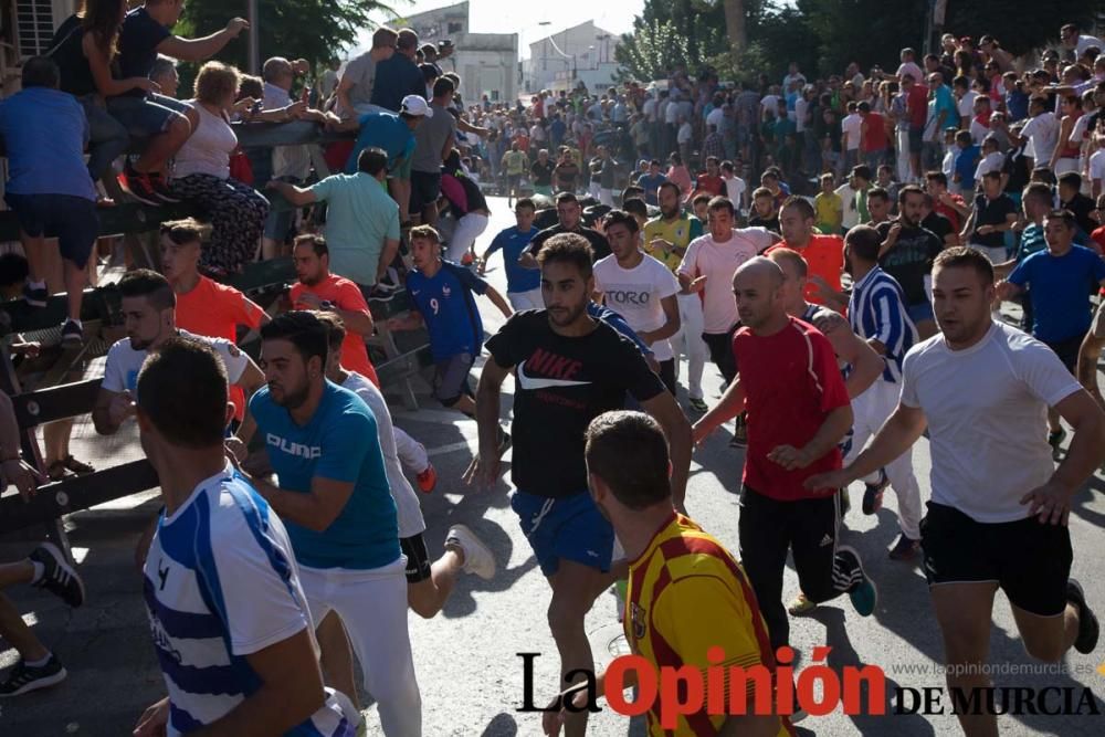 Primer encierro de Calasparra