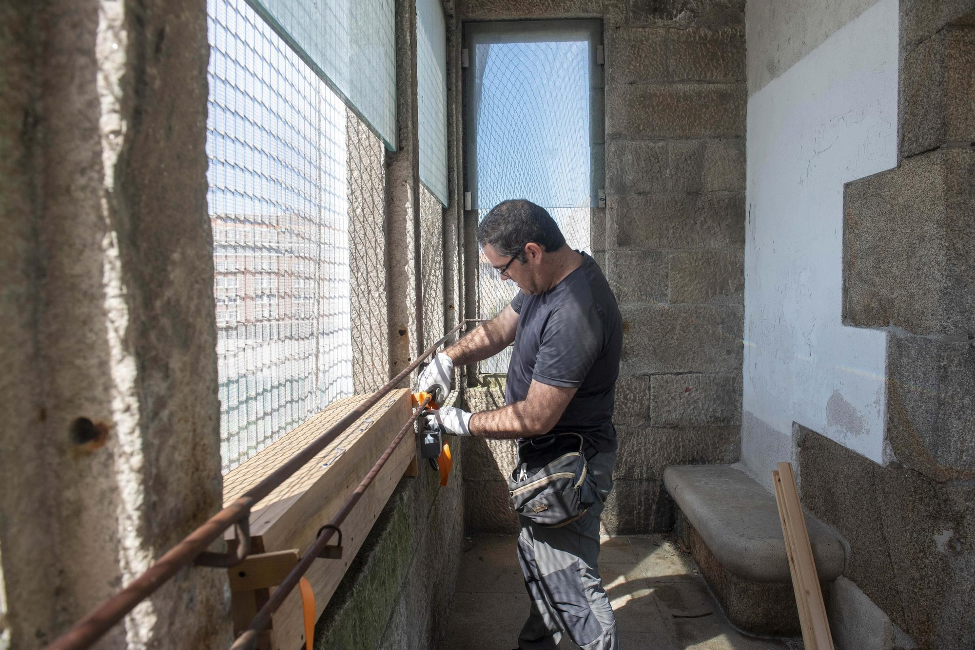 Nuevos hogares para los vencejos en el jardín de San Carlos