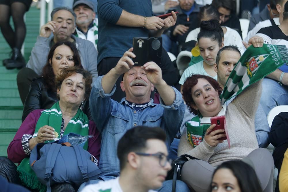 Blanquiverdes en el Arcángel