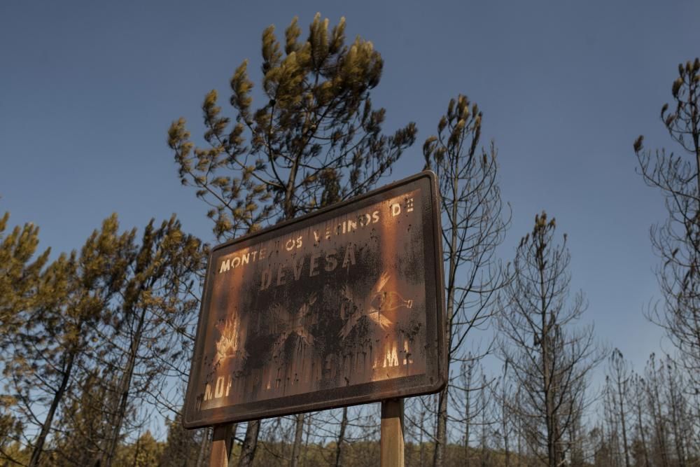 Incendio de Verín y Vilardevós