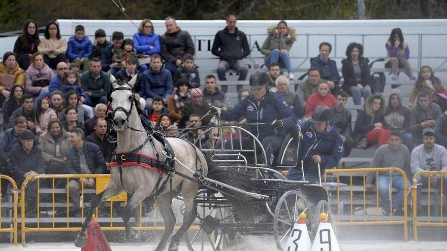 Pruebas de los concursos de enganches y morfológico en el día de ayer. // Bernabé/Javier Lalín