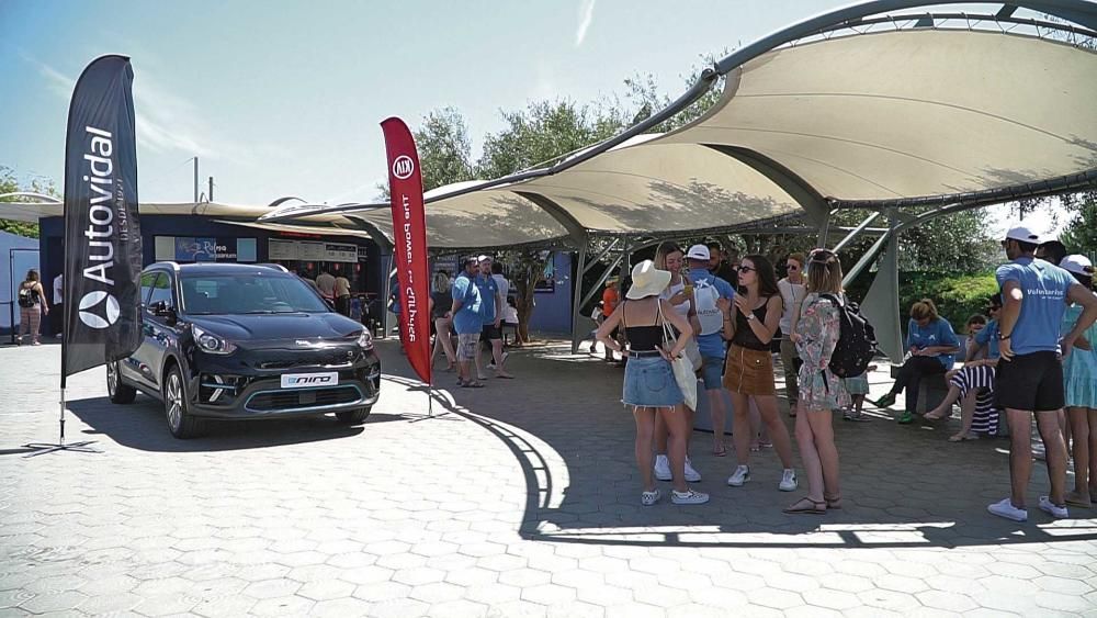 Autovidal organiza una jornada de limpieza de la playa de es Carnatge con gran éxito