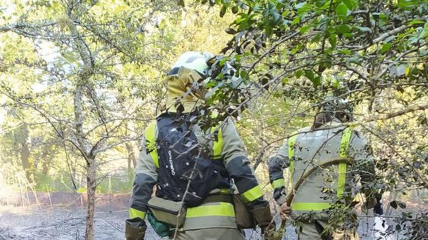 Brigadistas en el área.