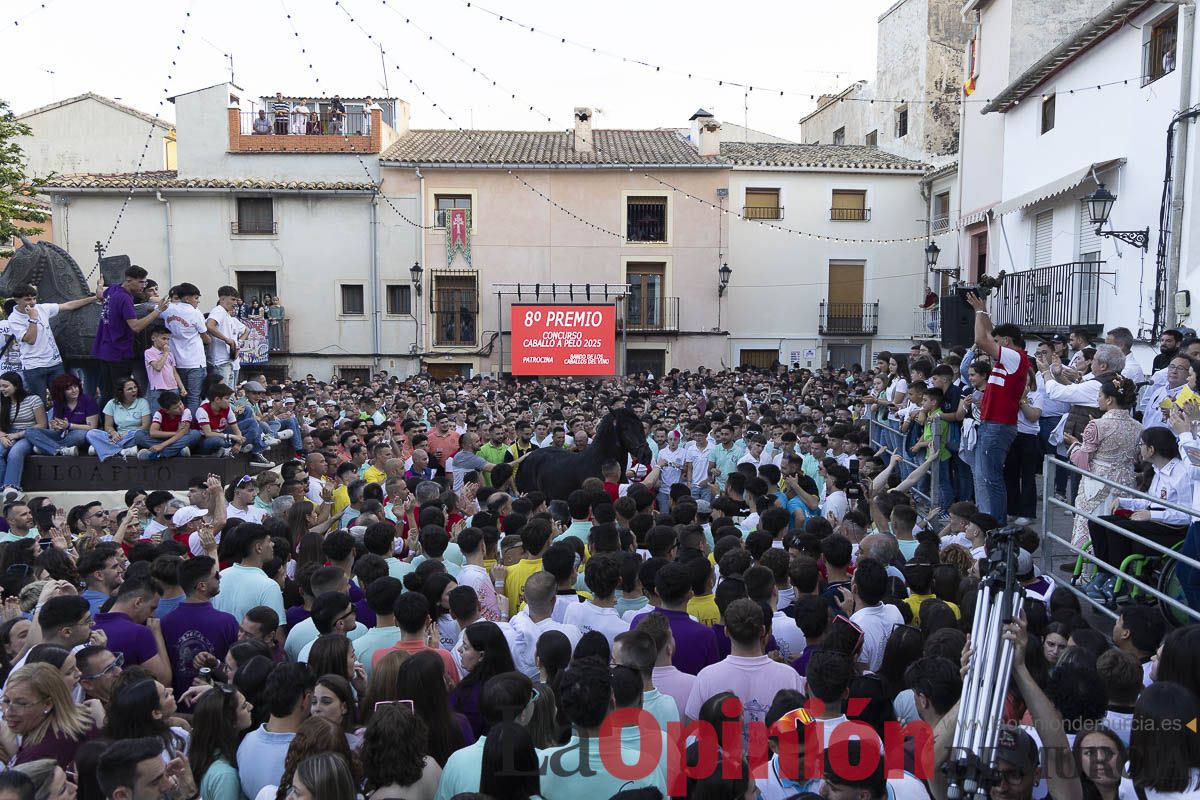 Fiestas de Caravaca | Entrega de premios del concurso morfológico