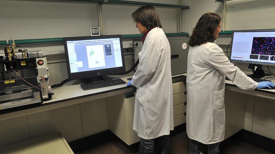 Investigadores en los laboratorios de Biología Molecular de la UMH, donde cuentan con maquinaria con la técnica PCR.