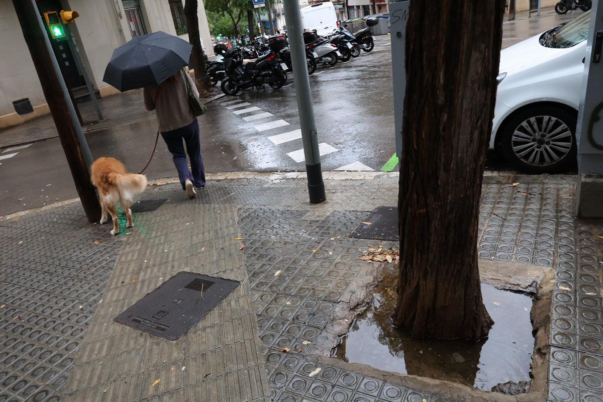 Lluvia en la calle de Castillejos, cerca del Hospital de Sant Pau de Barcelona.