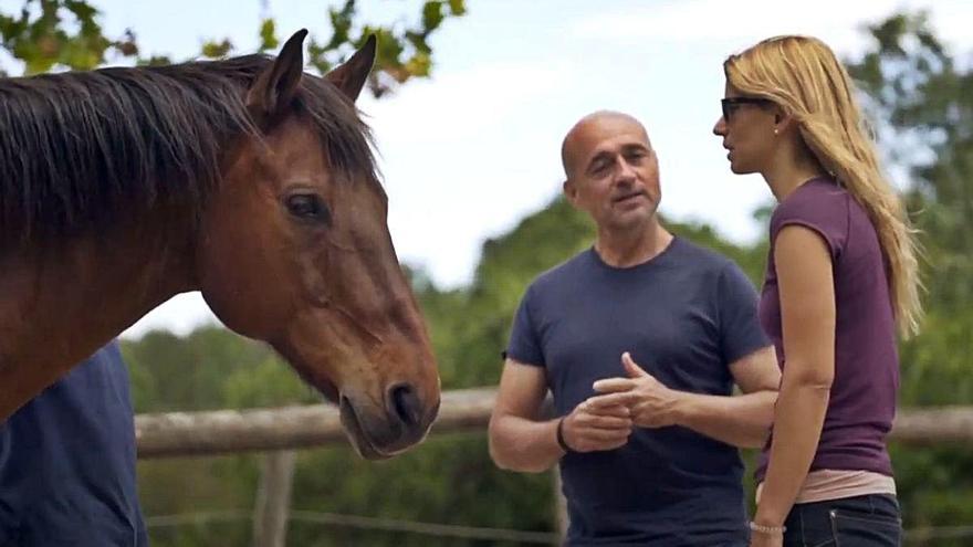 Màster en Intervenció Terapèutica Assistida amb Cavalls (TAC).