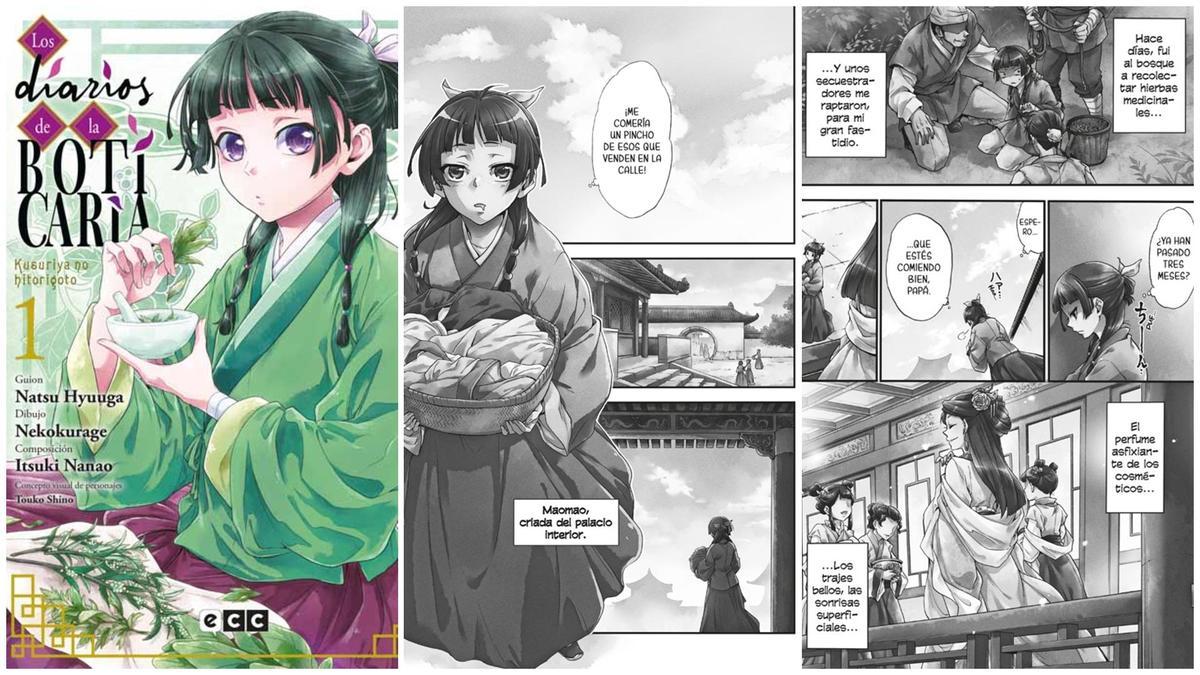 Viñetas de 'Los diarios de la boticaria'