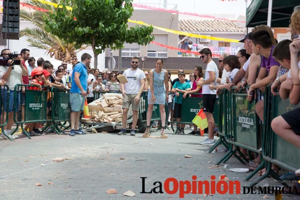 Campeonato del mundo de lanzamiento de 'Ladrillo d