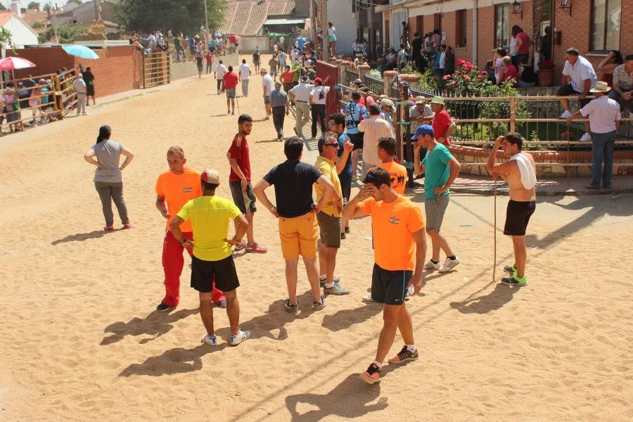 Fiestas en Zamora: Encierro en Argujillo